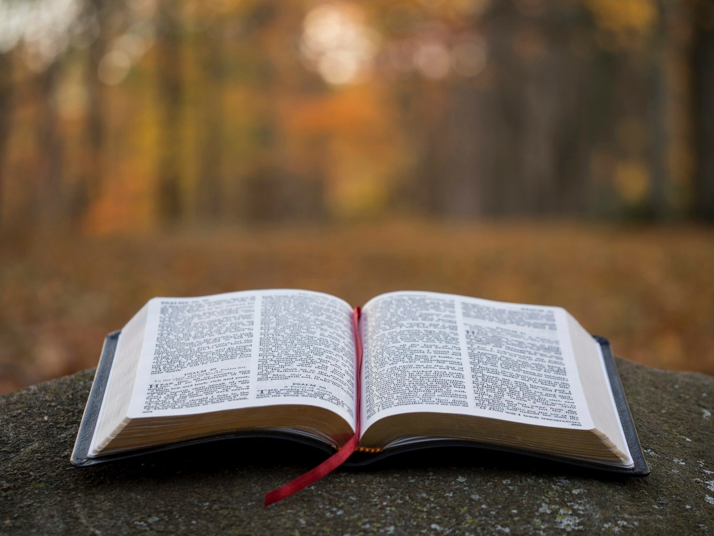Inspirational Accounts of Faith and Freedom